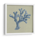 Chambray Coral Ii - Vision Studio | Cuadro decorativo de Canvas Lab