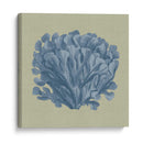 Chambray Coral Iii - Vision Studio | Cuadro decorativo de Canvas Lab