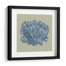 Chambray Coral Iii - Vision Studio | Cuadro decorativo de Canvas Lab