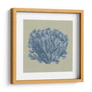 Chambray Coral Iii - Vision Studio | Cuadro decorativo de Canvas Lab