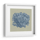 Chambray Coral Iii - Vision Studio | Cuadro decorativo de Canvas Lab
