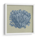 Chambray Coral Iii - Vision Studio | Cuadro decorativo de Canvas Lab