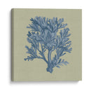 Chambray Coral Iv - Vision Studio | Cuadro decorativo de Canvas Lab