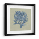 Chambray Coral Iv - Vision Studio | Cuadro decorativo de Canvas Lab