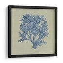 Chambray Coral Iv - Vision Studio | Cuadro decorativo de Canvas Lab