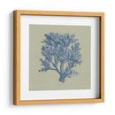 Chambray Coral Iv - Vision Studio | Cuadro decorativo de Canvas Lab