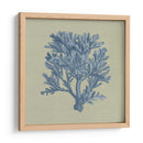 Chambray Coral Iv - Vision Studio | Cuadro decorativo de Canvas Lab