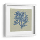 Chambray Coral Iv - Vision Studio | Cuadro decorativo de Canvas Lab