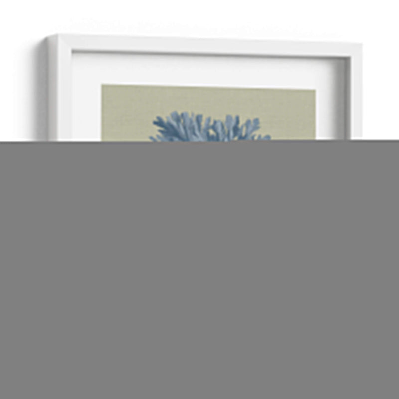 Chambray Coral Iv - Vision Studio | Cuadro decorativo de Canvas Lab