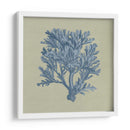 Chambray Coral Iv - Vision Studio | Cuadro decorativo de Canvas Lab
