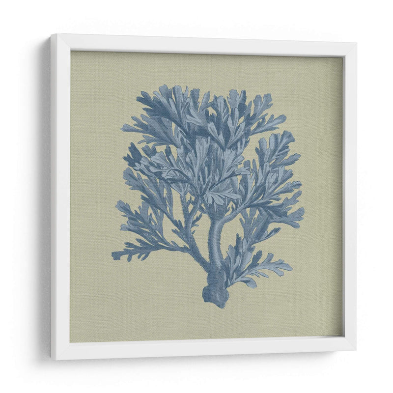 Chambray Coral Iv - Vision Studio | Cuadro decorativo de Canvas Lab
