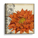 Botanica Iii - Jennifer Goldberger | Cuadro decorativo de Canvas Lab