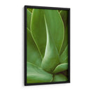 Naturaleza Modelada I - Vision Studio | Cuadro decorativo de Canvas Lab