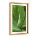 Naturaleza Modelada I - Vision Studio | Cuadro decorativo de Canvas Lab