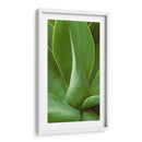 Naturaleza Modelada I - Vision Studio | Cuadro decorativo de Canvas Lab