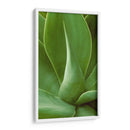 Naturaleza Modelada I - Vision Studio | Cuadro decorativo de Canvas Lab