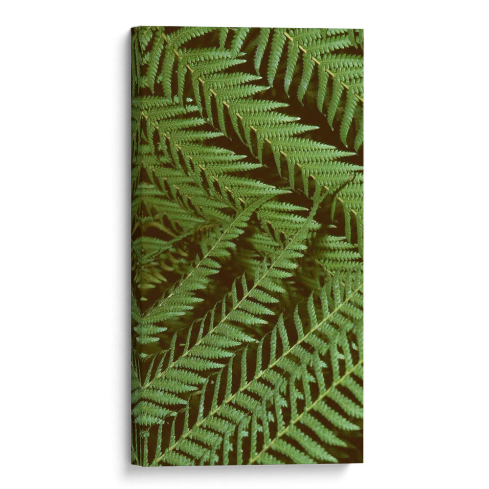 Naturaleza Estampada Ii - Vision Studio | Cuadro decorativo de Canvas Lab