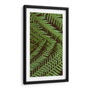 Naturaleza Estampada Ii - Vision Studio | Cuadro decorativo de Canvas Lab