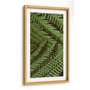 Naturaleza Estampada Ii - Vision Studio | Cuadro decorativo de Canvas Lab