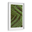 Naturaleza Estampada Ii - Vision Studio | Cuadro decorativo de Canvas Lab