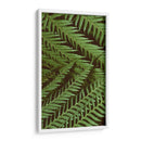 Naturaleza Estampada Ii - Vision Studio | Cuadro decorativo de Canvas Lab