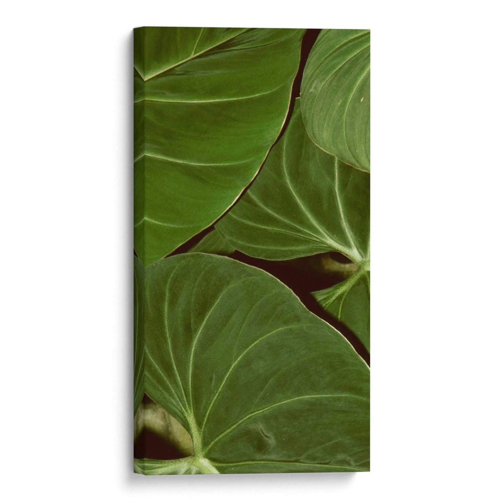 Naturaleza Estampada Iii - Vision Studio | Cuadro decorativo de Canvas Lab