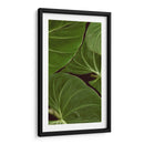 Naturaleza Estampada Iii - Vision Studio | Cuadro decorativo de Canvas Lab