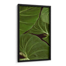 Naturaleza Estampada Iii - Vision Studio | Cuadro decorativo de Canvas Lab