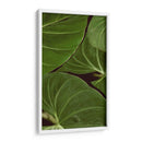 Naturaleza Estampada Iii - Vision Studio | Cuadro decorativo de Canvas Lab