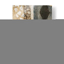 Ginkgo Fossil Ii - Jennifer Goldberger | Cuadro decorativo de Canvas Lab