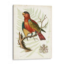 Regal Loros Ii - Vision Studio | Cuadro decorativo de Canvas Lab