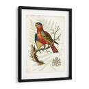 Regal Loros Ii - Vision Studio | Cuadro decorativo de Canvas Lab