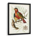 Regal Loros Ii - Vision Studio | Cuadro decorativo de Canvas Lab
