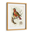 Regal Loros Ii - Vision Studio | Cuadro decorativo de Canvas Lab