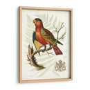 Regal Loros Ii - Vision Studio | Cuadro decorativo de Canvas Lab