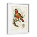 Regal Loros Ii - Vision Studio | Cuadro decorativo de Canvas Lab