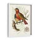Regal Loros Ii - Vision Studio | Cuadro decorativo de Canvas Lab