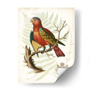 Regal Loros Ii - Vision Studio | Cuadro decorativo de Canvas Lab