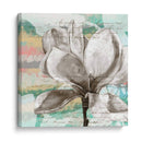 Magnolias Pastel I - Jennifer Goldberger | Cuadro decorativo de Canvas Lab