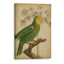 Parrot Y Palm Iv - Vision Studio | Cuadro decorativo de Canvas Lab