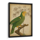 Parrot Y Palm Iv - Vision Studio | Cuadro decorativo de Canvas Lab