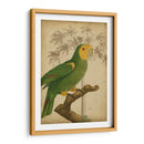 Parrot Y Palm Iv - Vision Studio | Cuadro decorativo de Canvas Lab
