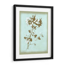 Dussurgey Amaryllis En Azul - Chabal Dussurgey | Cuadro decorativo de Canvas Lab