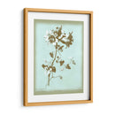 Dussurgey Amaryllis En Azul - Chabal Dussurgey | Cuadro decorativo de Canvas Lab