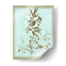 Dussurgey Lilium En Azul - Chabal Dussurgey | Cuadro decorativo de Canvas Lab