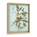 Dussurgey Ellebore En Azul - Chabal Dussurgey | Cuadro decorativo de Canvas Lab