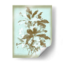 Dussurgey Ellebore En Azul - Chabal Dussurgey | Cuadro decorativo de Canvas Lab