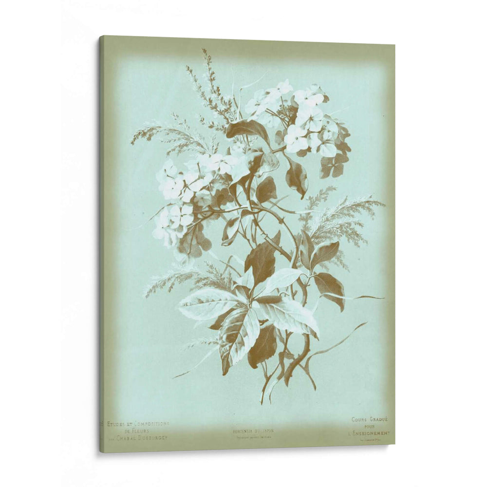 Didsurgey Hydrangea En Azul - Chabal Dussurgey | Cuadro decorativo de Canvas Lab