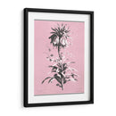 Dussurgey Imperiale En Rosa - Chabal Dussurgey | Cuadro decorativo de Canvas Lab