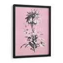 Dussurgey Imperiale En Rosa - Chabal Dussurgey | Cuadro decorativo de Canvas Lab